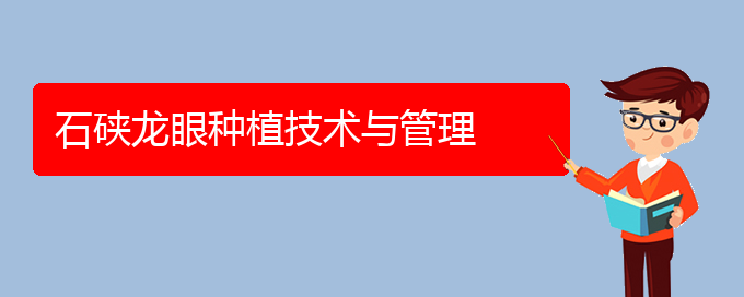 石硖龙眼种植技术与管理