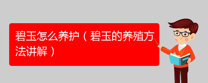 碧玉怎么养护（碧玉的养殖方法讲解）