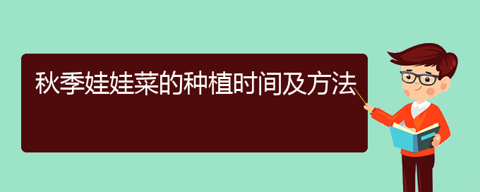 秋季娃娃菜的种植时间及方法