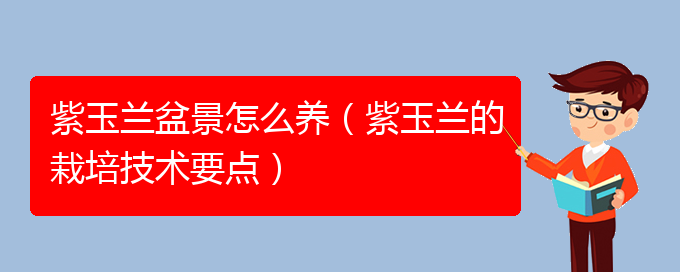 紫玉兰盆景怎么养（紫玉兰的栽培技术要点）