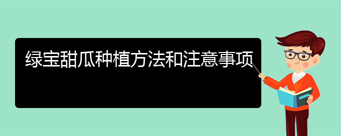 绿宝甜瓜种植方法和注意事项