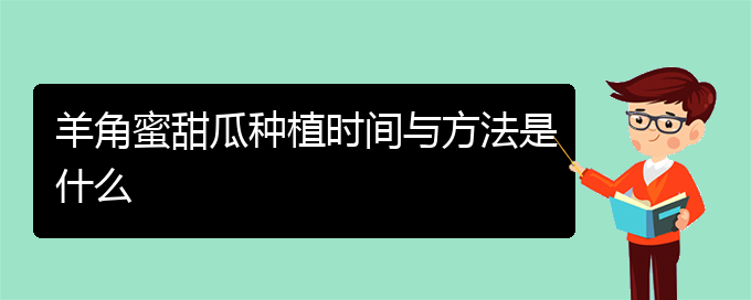 羊角蜜甜瓜种植时间与方法是什么