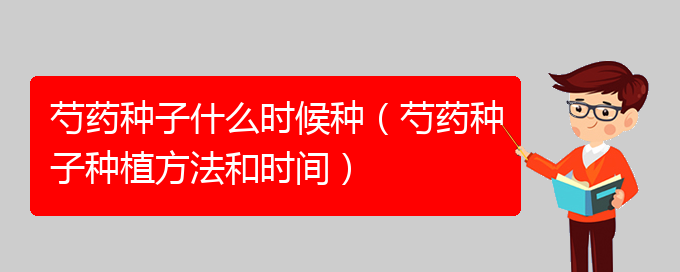 芍药种子什么时候种（芍药种子种植方法和时间）