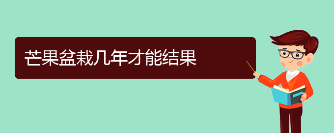 芒果盆栽几年才能结果