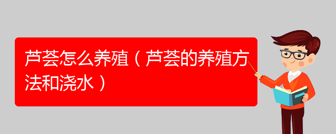 芦荟怎么养殖（芦荟的养殖方法和浇水）