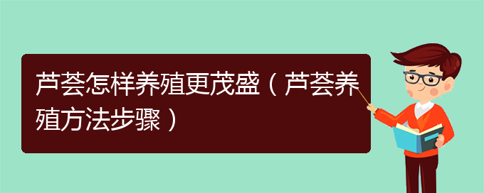 芦荟怎样养殖更茂盛（芦荟养殖方法步骤）