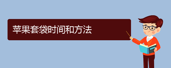 苹果套袋时间和方法