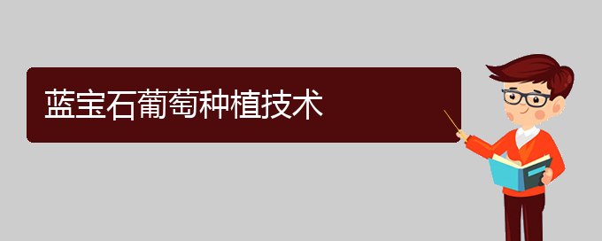 蓝宝石葡萄种植技术