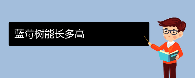 蓝莓树能长多高