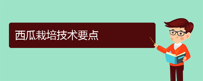 西瓜栽培技术要点