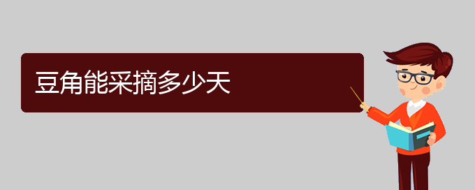 豆角能采摘多少天