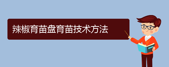 辣椒育苗盘育苗技术方法