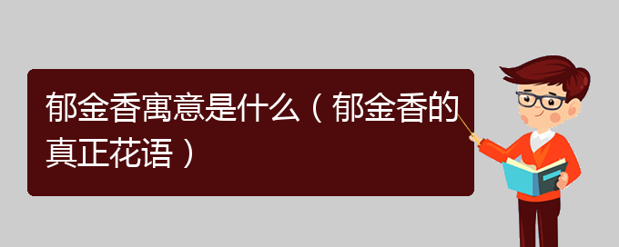 郁金香寓意是什么（郁金香的真正花语）