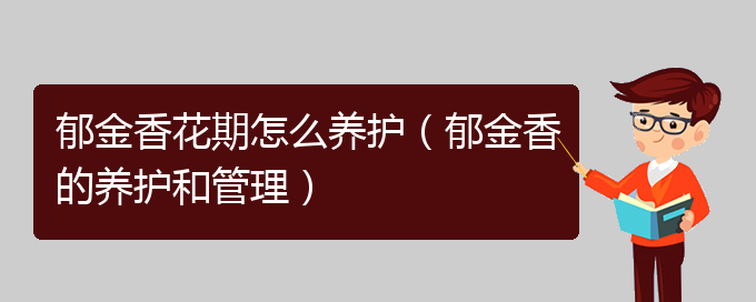 郁金香花期怎么养护（郁金香的养护和管理）