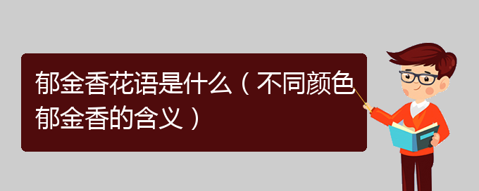 郁金香花语是什么（不同颜色郁金香的含义）