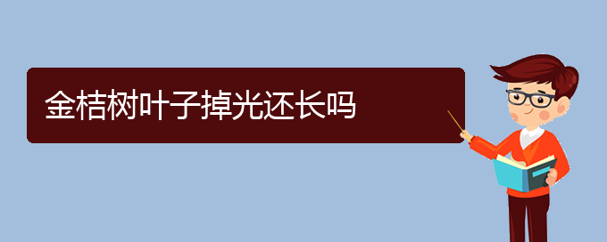 金桔树叶子掉光还长吗