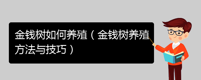 金钱树如何养殖（金钱树养殖方法与技巧）