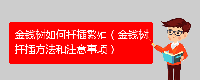 金钱树如何扦插繁殖（金钱树扦插方法和注意事项）