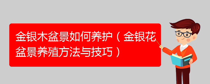 金银木盆景如何养护（金银花盆景养殖方法与技巧）