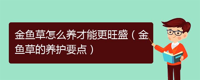 金鱼草怎么养才能更旺盛（金鱼草的养护要点）