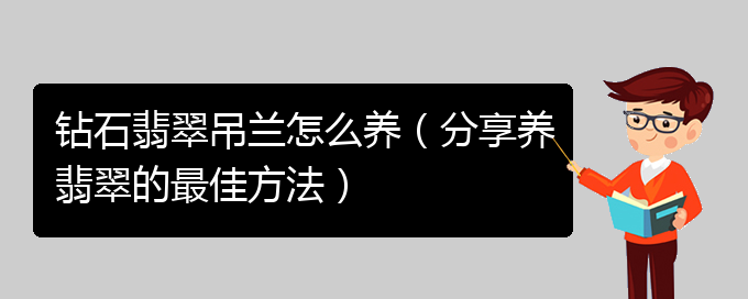 钻石翡翠吊兰怎么养（分享养翡翠的最佳方法）