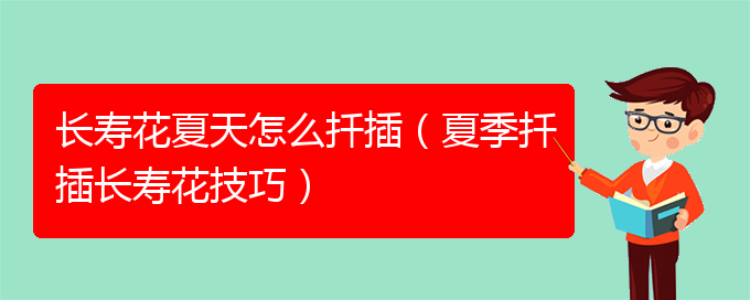 长寿花夏天怎么扦插（夏季扦插长寿花技巧）