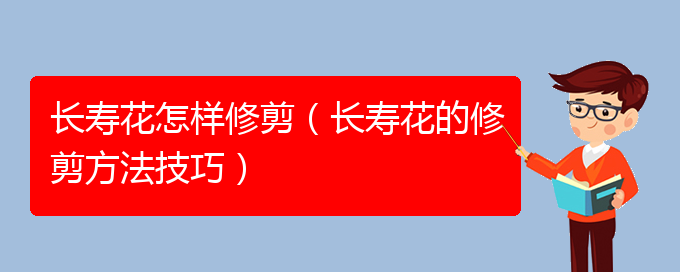 长寿花怎样修剪（长寿花的修剪方法技巧）