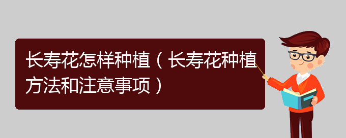 长寿花怎样种植（长寿花种植方法和注意事项）