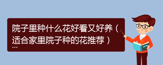 院子里种什么花好看又好养（适合家里院子种的花推荐）