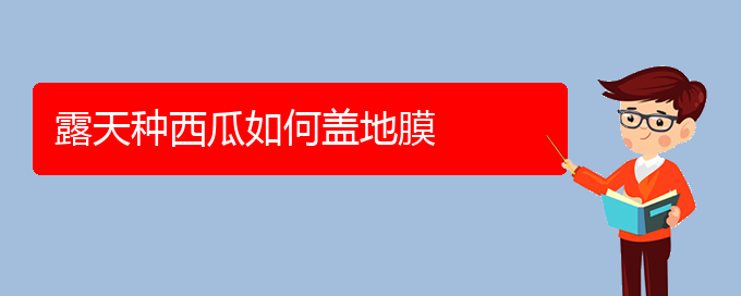 露天种西瓜如何盖地膜