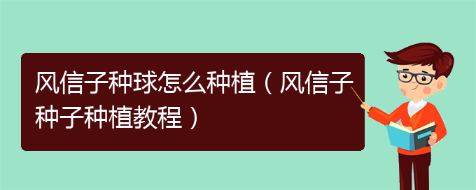 风信子种球怎么种植（风信子种子种植教程）