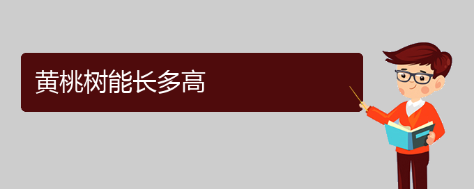 黄桃树能长多高