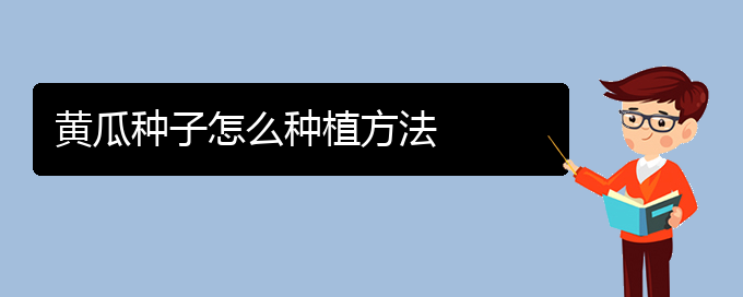 黄瓜种子怎么种植方法