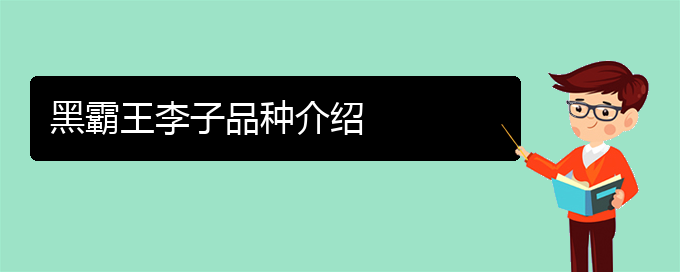 黑霸王李子品种介绍