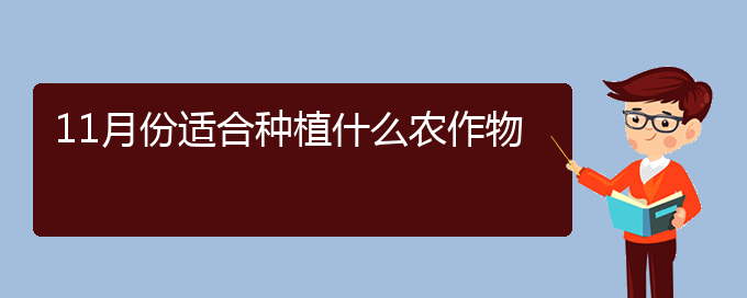 11月份适合种植什么农作物